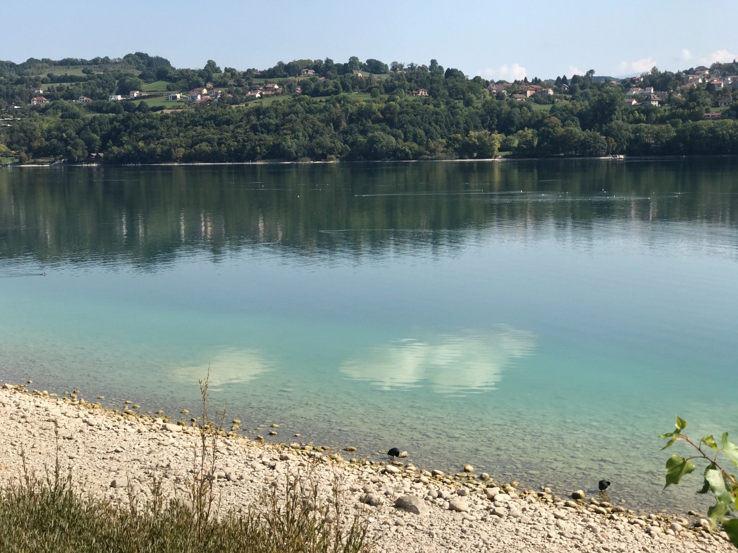 plongee lac paladru eau douce